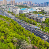 全国产业园区竞速，长沙高新区何以“三项齐升”？｜湘江潮涌“十四五”