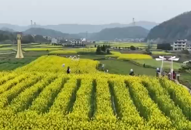 [第一时间]以花为媒 以楼为桥 长江中游三城游客“串门”享优惠