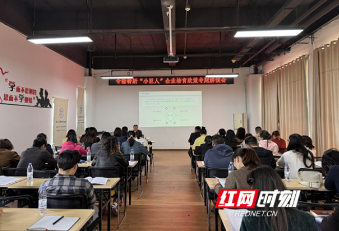 专家把脉、引领方向，助力企业迈向专精特新之路