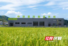 湘江新区企业牵头，首项水稻精准施肥地方标准实施