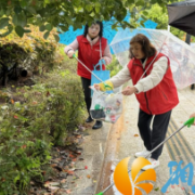 银建社区：联动多方齐发力 洁净商圈美家园