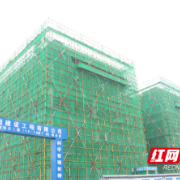 新增3.5万㎡！雷锋大道旁，这个医药智造园正加速建设