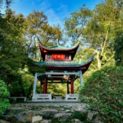 4月30日截止报名,湖南湘江新区邀你一起“创赢未来”!