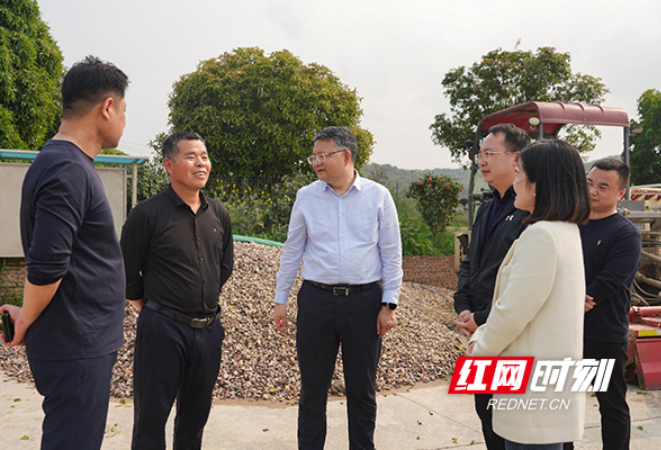 邹特调研乡村振兴、春耕生产和防汛备汛工作