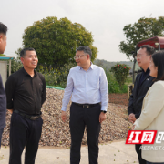 邹特调研乡村振兴、春耕生产和防汛备汛工作