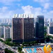从跑两天到十分钟解决！数据多跑路，帮企业“减负”