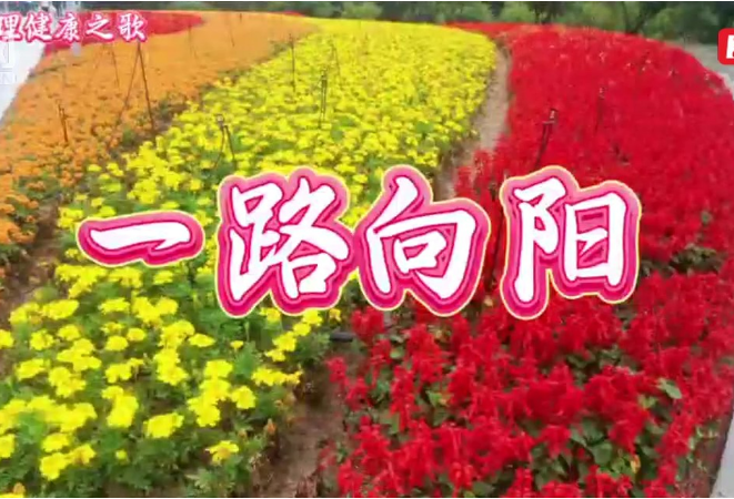 关爱自我、向阳生长！原创心理歌曲《一路向阳》引师生传唱
