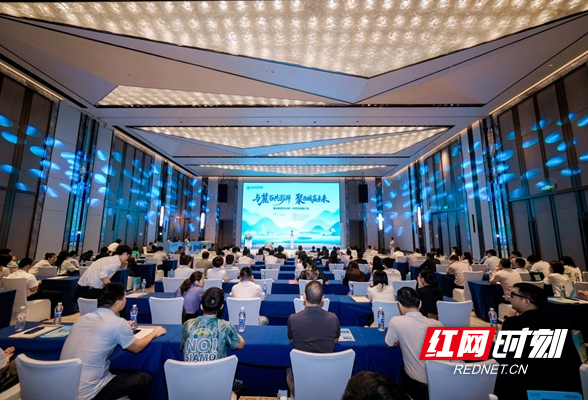 麓谷集团2026年片区价值推介会举行