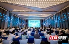 麓谷集团2026年片区价值推介会举行