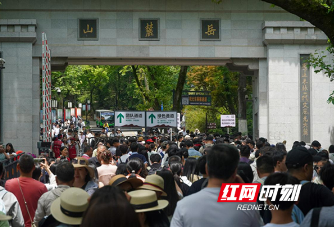人气旺、秩序佳、服务暖，岳麓山景区用精细化管理稳住大客流
