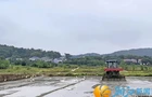机耕助农忙 白鹭栖良田 生态田园耕耘一季稻丰收希望