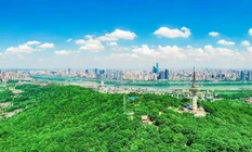 桃花岭村：路面翻新立铭牌 居民乐享新生活