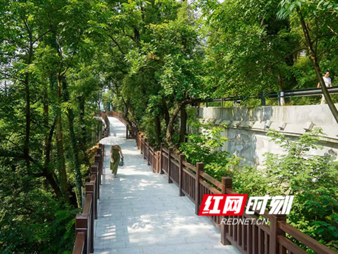 端午登山新体验！岳麓山“上新”4600米栈道+1270米森林步道