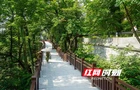 端午登山新体验！岳麓山“上新”4600米栈道+1270米森林步道