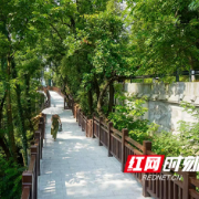 端午登山新体验!岳麓山“上新”4600米栈道+1270米森林步道