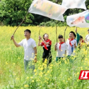 在山林里寻找灵感!乡村孩子的美育展开到了湖南美术馆