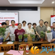 绿植科普润晚霞 环境整治美家园