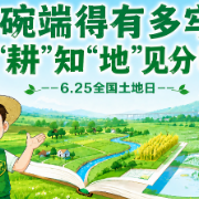 视频丨饭碗端得有多牢？知“耕”知“地”见分明！