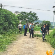 雨后清障，莲花镇群众自发守护“家门口平安路”