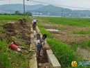 湘江新区莲花镇：党员群众“一条心”，汛后恢复“加速度”
