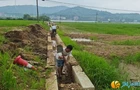 湘江新区莲花镇：党员群众“一条心”，汛后恢复“加速度”