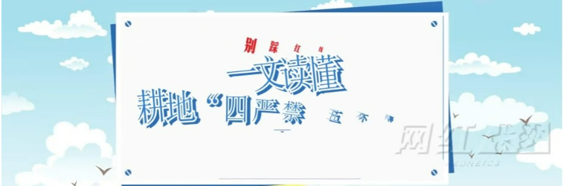 视频丨别踩红线！一文读懂耕地“四严禁 五不得”