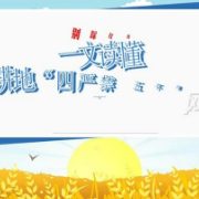 视频丨别踩红线！一文读懂耕地“四严禁 五不得”