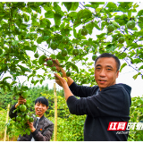 郴州桂阳：精准打好“组合拳” 决胜脱贫攻坚战