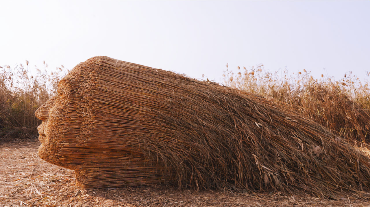 45345345345.png 45345345345.png