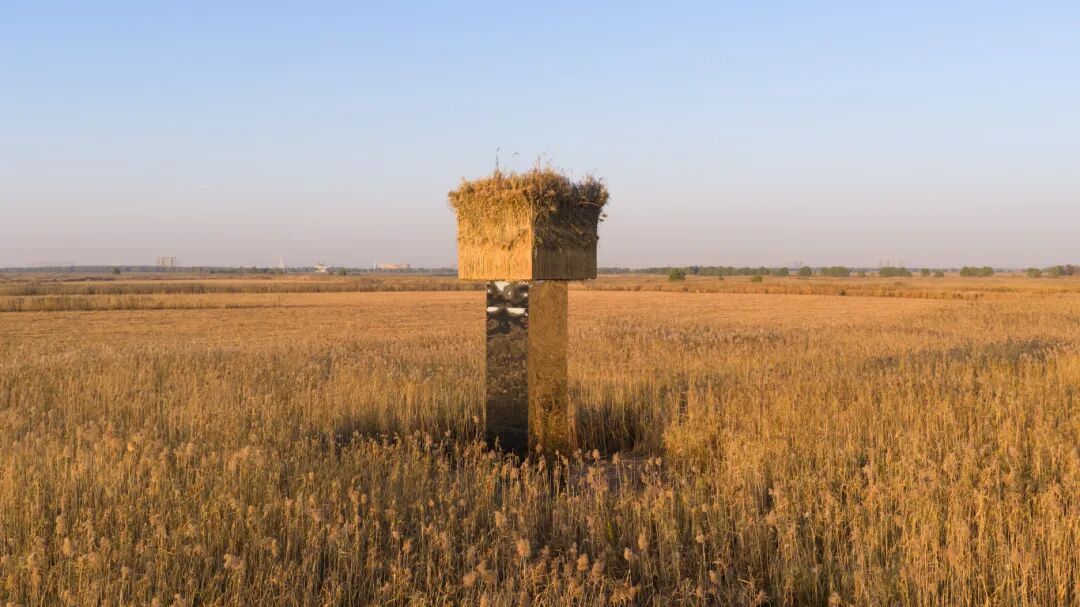 微信图片_20251203202943.jpg 微信图片_20251203202943.jpg