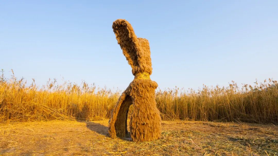 微信图片_20251203202946.jpg 微信图片_20251203202946.jpg