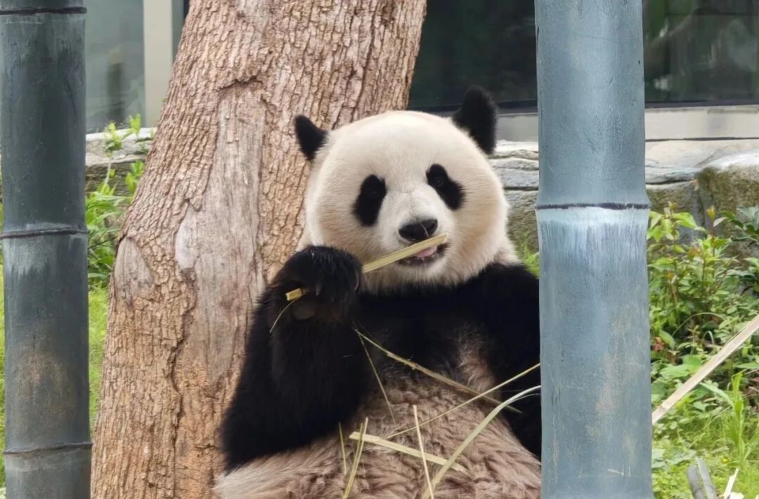 微信图片_20250908201038.jpg 微信图片_20250908201038.jpg
