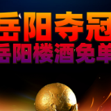 喝岳阳楼酒为岳州军加油!买1送1+凭票可抵酒+岳阳夺冠岳阳楼酒免单!