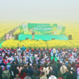 视频丨岳阳县中洲乡：洞庭湖畔春意浓 花海古塔醉游人