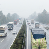 累计527.6万辆、单日峰值创新高,岳阳高速2026年春运圆满落幕