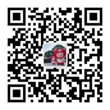 图片 13.png