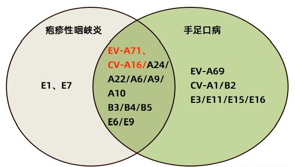 图片 7.png
