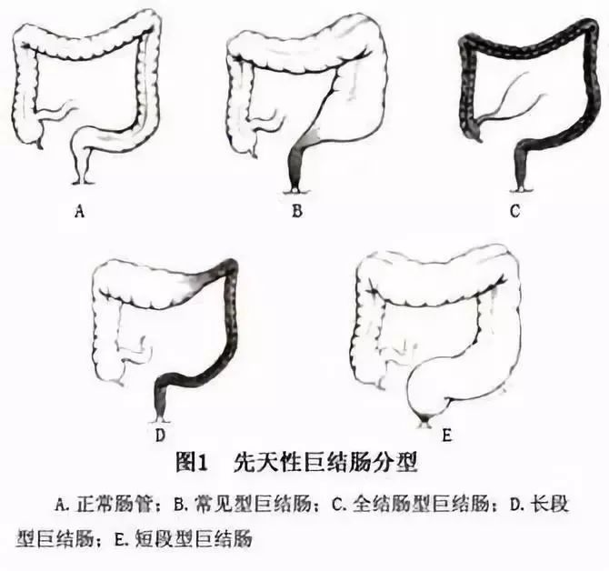 图片 7.png
