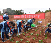 娄底这所学校建成劳动实践基地 学生有了“自留地”