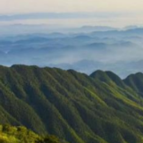 涟源市推进龙山国家森林项目建设