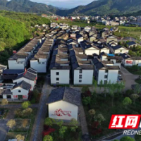 沙洲日记｜党建带妇建，助乡村振兴