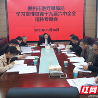 郴州市医疗保障局召开学习宣传贯彻党的十九届六中全会精神专题会议