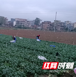 郴州嘉禾:下车村民踏上致富“快车”