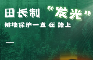 海报｜田长制“发光”  耕地保护一直在路上