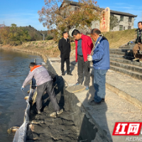 沙洲日记｜小码头里的大世界