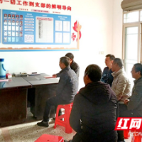 苏仙区飞天山镇：党小组建在屋场  服务群众在现场