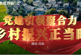  数说苏仙｜：党建引领聚合力  乡村振兴正当时