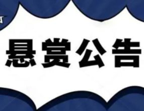 北湖法院喊你当“赏金猎人”！