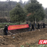 宜章县笆篱镇：清淤除障，冬修水利保春耕