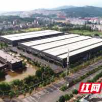 宜章经济开发区：培育“百亿”产业 建设“五好”园区